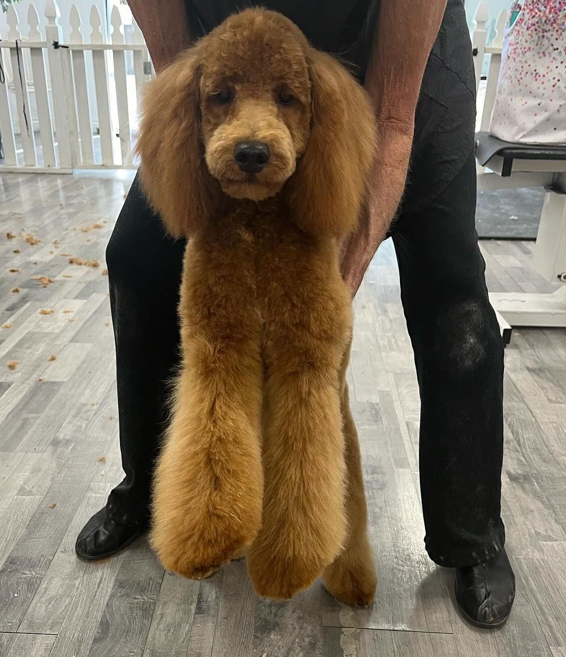 Furtastic Petgrooming project photo